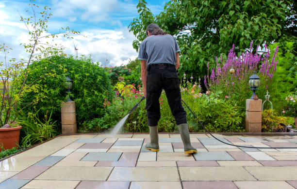 Best Animal Enclosure Cleaning  in Centerport, NY